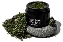 NADI_HERO_3_LR_web.webp